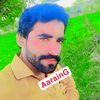 ali.hamza58263