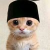 indra.mbohh0