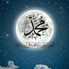 user6328071050253