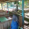 tyzsrilestari