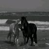mena.mahmoud258