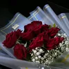 user4840243187765