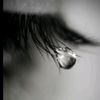 user81850519952205