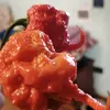 ilcorra8