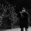 nunesxczv00