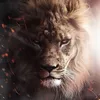 lionofgodali