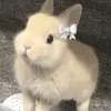 wjzming