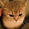 ilovepepper1