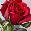 user1606581094562