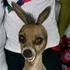 bachodaegua
