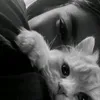 lil.lula30