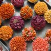 Sweet Sisters Bake