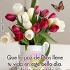 barbaraalmeida522