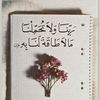 user2619768229503