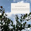 8_g_ran