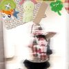 _myselfcore_
