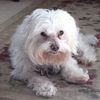 bugsy1216