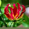 aruvi82