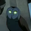 theowlof_athena
