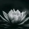 cgfcvffhgfbhf