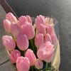 roki_6903
