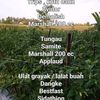 trisman291