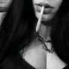 vivii.yf1