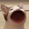 sadboyvn19