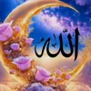 user91795769070460