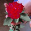 user900735807326