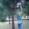 anh.loan.to.ny