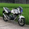 trenggiling_12