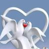 __.hansi.__166