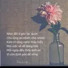 quyen.21.yb