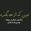 .shadab7