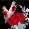 mohin.uddin3970