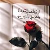 user8800578047966