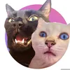 jangimiau