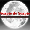 Noapte de Noapte