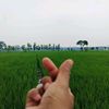 akun_terhapus276