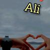 14ali6666