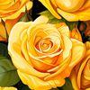 md.hussain0759