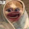 Vô tri kệ tui 🌚
