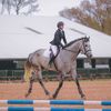 savannah.eventing