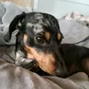 jayde_yt2
