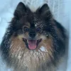 yanitsa_banitsa89