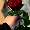 user330166054134
