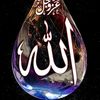 zaouadikhaoula3