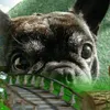 user96930027966bettybop