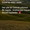 aysigi17
